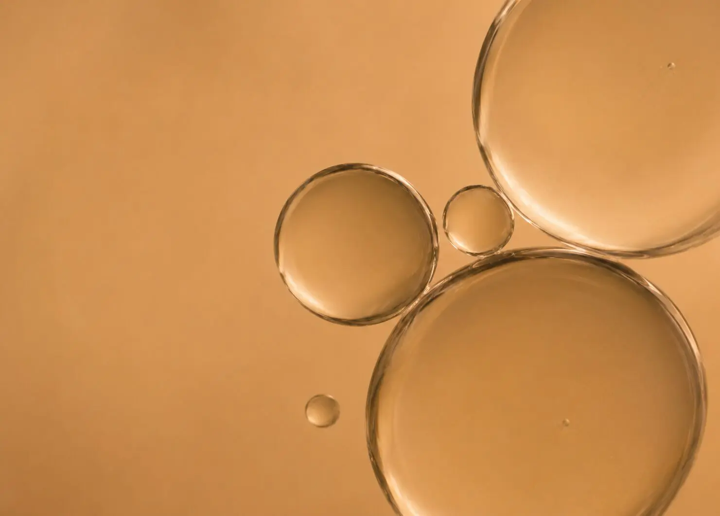 FET Embryo Oil