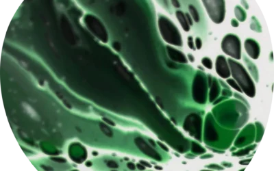 Vitamin B12 deficiency anemia