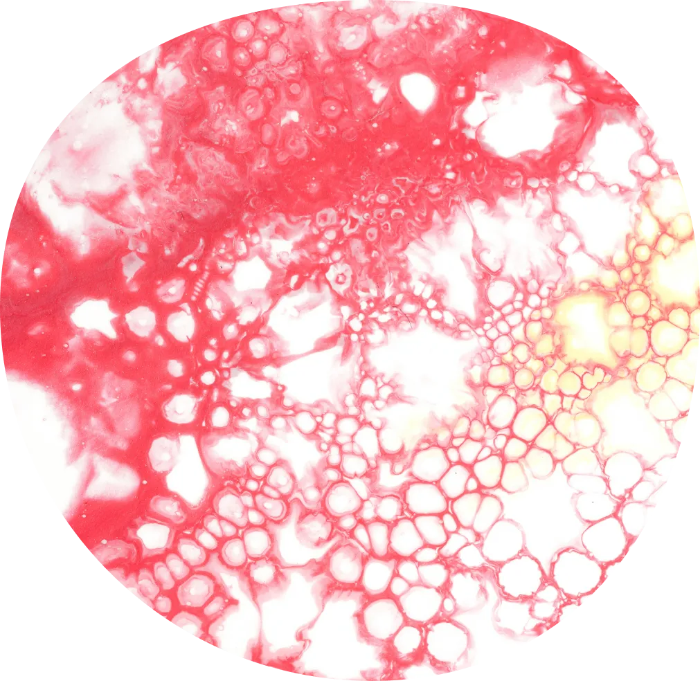 Vitamin-B12