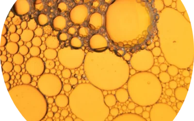 Hypervitaminosis D